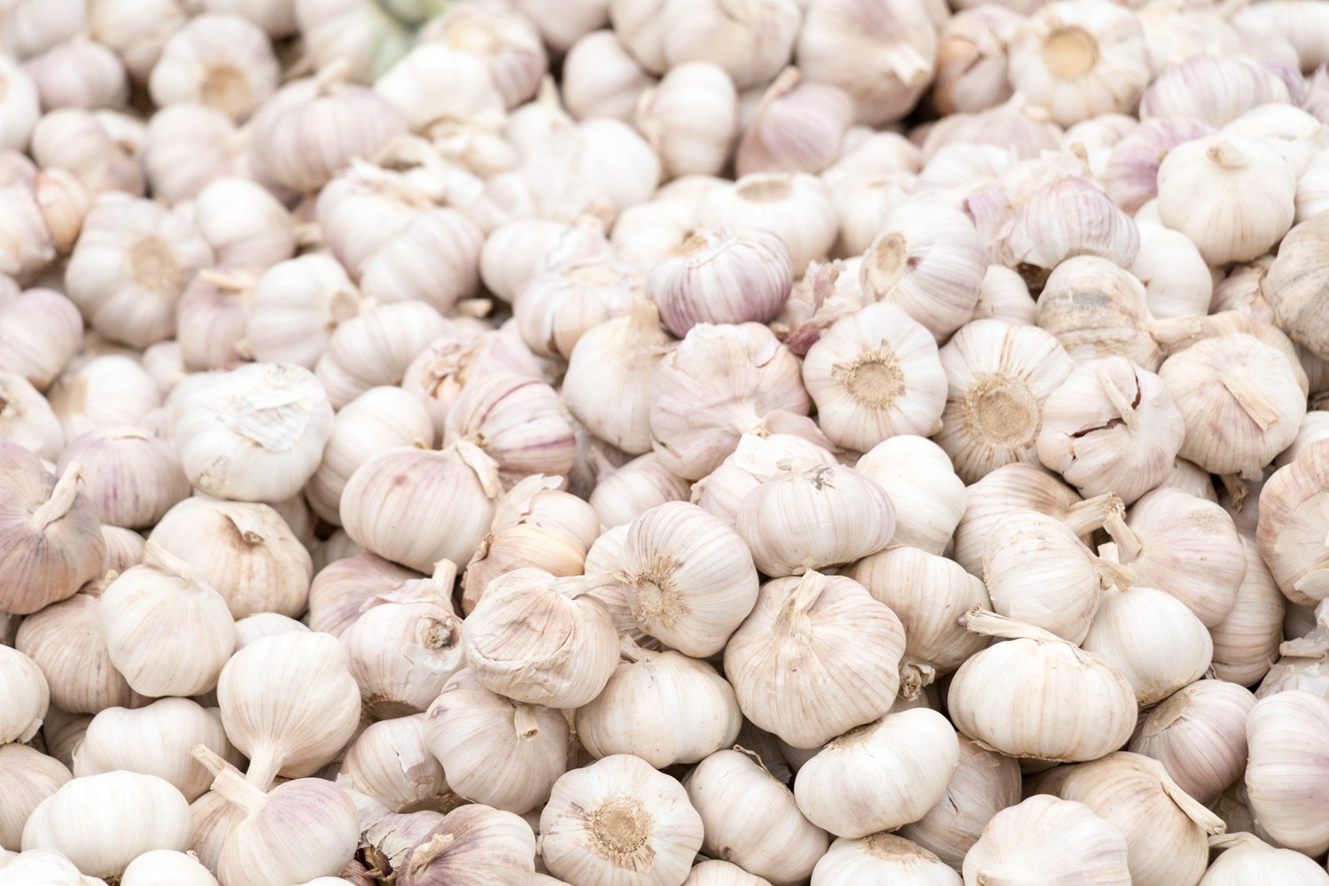 大蒜